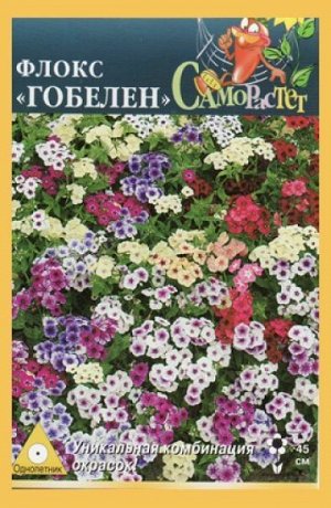 Флокс Гобелен специальная смесь (Код: 5190)