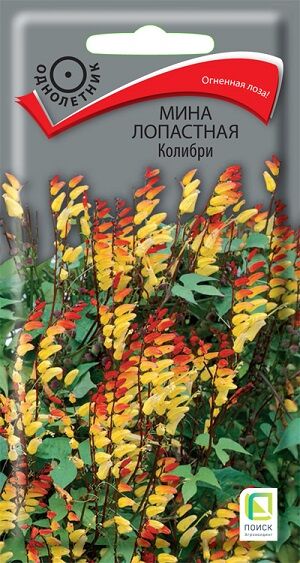 Мина Колибри (Код: 91184)