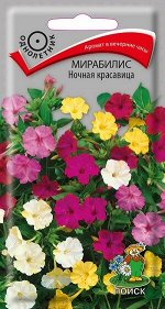 Мирабилис Ночная Красавица (Код: 65553)