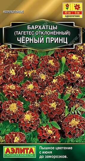 Бархатцы Черный Принц (Код: 90986)