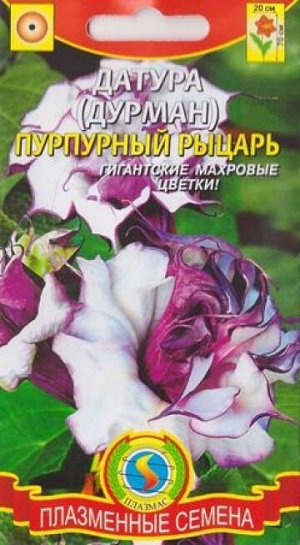 Датура Пурпурный рыцарь (Код: 75203)