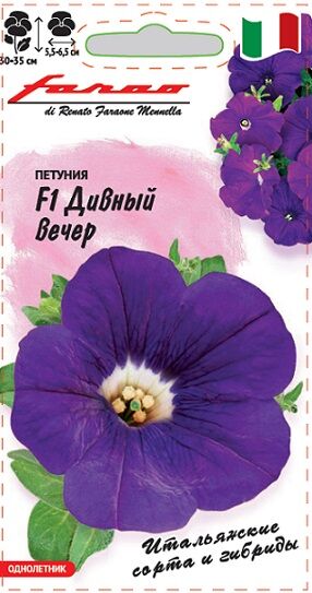 Петуния Дивный вечер F1 (Код: 2877)
