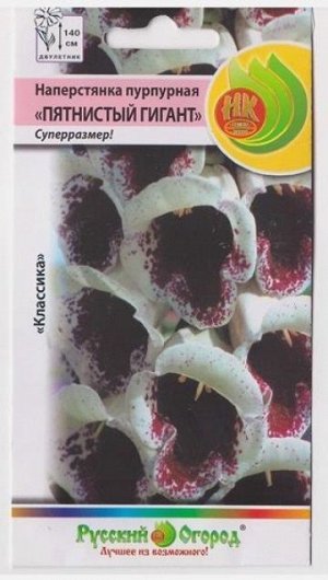 Наперстянка Пятнистый гигант пурпурная (Код: 7294)
