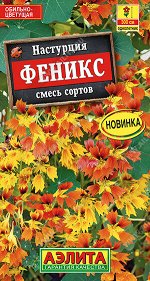 Настурция Феникс, смесь сортов