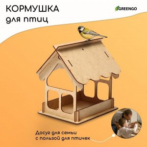 Кормушка для птиц «Домик», 21 х 18 х 21 см