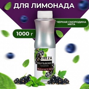 Концентрат RiCHEZA «Черная Смородина - Мята», 1000 г