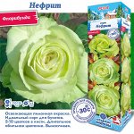 Роза Нефрит (Флорибунда) 1шт (Сиб сад)