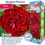 Роза Эротик Рококо (Спрей) 1шт (Сиб сад)