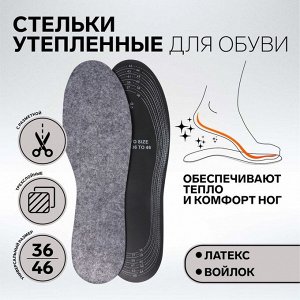 Стельки для обуви, универсальные, УТЕПЛЕННЫЕ, 28-46 р-р, пара, цвет чёрный/серый
