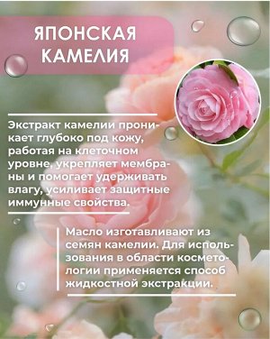 Shokubutsu, Крем-гель для душа 500мл (мягкая упак) "Японская Камелия", Таиланд