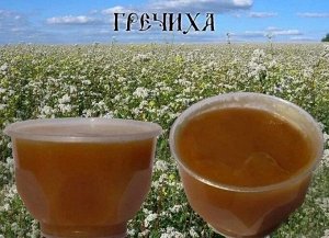 Мед гречишно цветочный ,урожай 2024