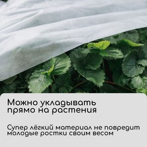 Материал укрывной, 5 ? 1.6 м, плотность 20 г/м?, спанбонд с УФ-стабилизатором, белый, Greengo, Эконом 20%