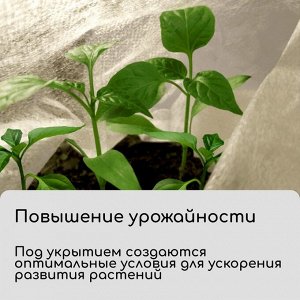 Материал укрывной, 10?1.6 м, плотность 20 г/м?, спанбонд с УФ-стабилизатором, белый, Greengo, Эконом 30%