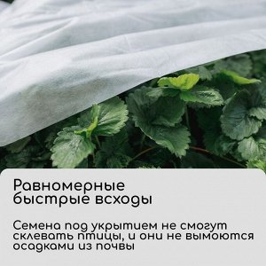 Материал укрывной, 5 ? 1.6 м, плотность 20 г/м?, спанбонд с УФ-стабилизатором, белый, Greengo, Эконом 20%