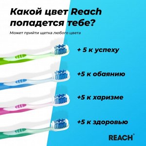 483086 REACH Stay White Белизна зубов зубная щетка жесткая