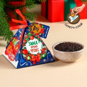 Чай новогодний чёрный с предсказанием «Время чудес», вкус: ваниль и карамель, 20 г.