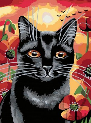 Картина по номерам, холст на подрамнике  арт RAS2300 Чёрный кот