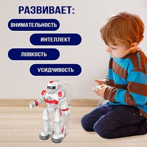 Робот на пульте управления IQ BOT GRAVITONE, радиоуправление, интерактивный, русское озвучивание, цвет красный