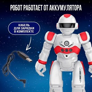 Робот на пульте управления IQ BOT GRAVITONE, радиоуправление, интерактивный, русское озвучивание, цвет красный