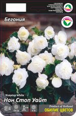 Бегония Нон стоп Уайт 5/6 3шт (Сиб сад)