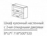 ШКН с 2-мя откидными дверями 718*500*320мм