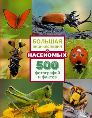 . Большая энциклопедия о насекомых. 500 фотографий и фактов
