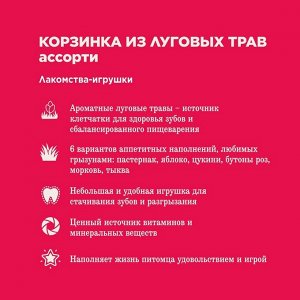 Лакомство Little One «Корзинка из луговых трав» с наполнением, ассорти, 65 г