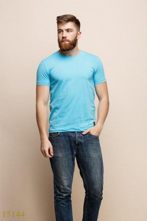 Мужская футболка 15144 голубой