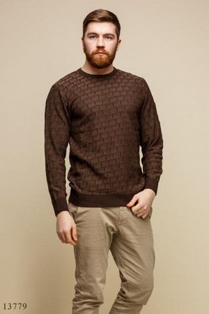 Мужской свитер Яромир коричневый крупный принт