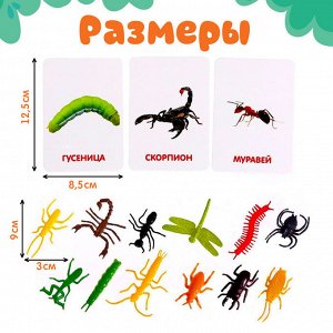 IQ-ZABIAKA Развивающий набор с карточками «Мир насекомых», по методике Домана