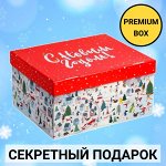 Новогодний подарок - сюрприз, сладости на Новый Год 2025
