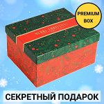 Новогодний подарок - сюрприз, сладости на Новый Год 2025
