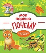 Е. Колузаева: Мои первые почему?