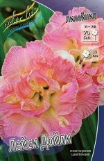 Лилейник Лейси Дойли 1шт (Колорлайн)
