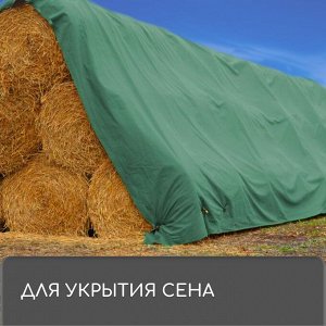 СИМА-ЛЕНД Тент защитный, 3 x 2 м, плотность 120 г/м², УФ, люверсы шаг 1 м, зелёный/серебристый