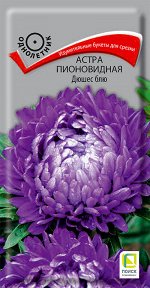 Астра Дюшес Блю (Код: 70714)