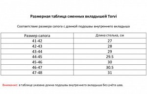 Зимние сапоги TORVI ЭВА+ТЭП с вкладышем -25С, цвет чёрный