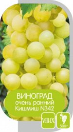 Кишмиш №342