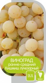 Кишмиш Лучезарный