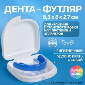Контейнер для хранения протезов, 8,5 х 8 х 2,7 см, цвет МИКС