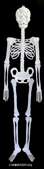Светящийся скелет 150см
