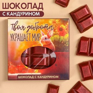 Шоколад «Твоя доброта украшает мир» с красным кандурином, 50.