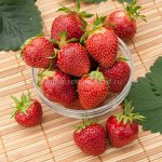 Земляника садовая Фейерверк (Р9)