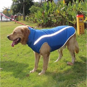 Теплая одежда для собак жилет зимний синий 4XL