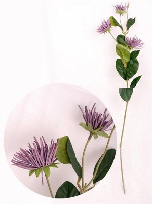 Хризантема цвет фиолетовый 82см