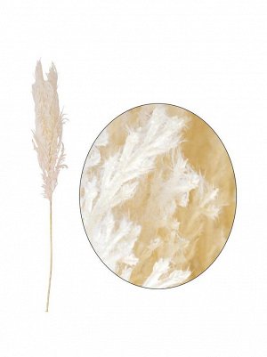 Ковыль 110 см цвет белый HS-6-24 пампасная трава