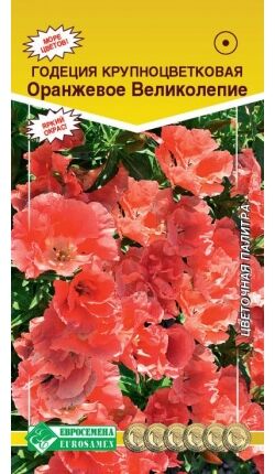 Годеция ОРАНЖЕВОЕ ВЕЛИКОЛЕПИЕ (крупноцветковая) (0,3 гр)