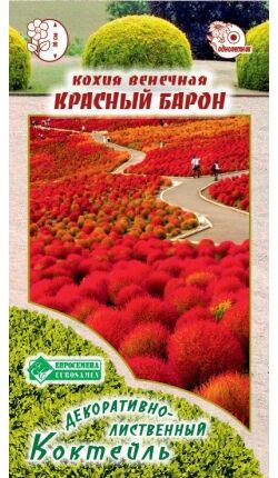 Кохия венечная Красный Барон (0,3 гр)