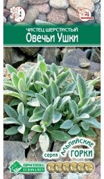 Чистец шерстистый Овечьи Ушки (0,1 гр)