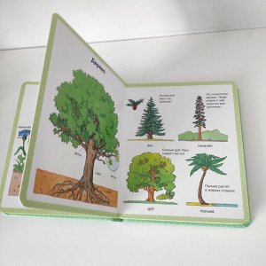 Энциклопедия для малышей. Природа